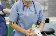Gydytojas anesteziologas reanimatologas 1